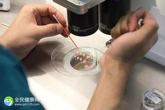 2024试管代怀合法的国家【2024年试管代怀合法国家盛行】