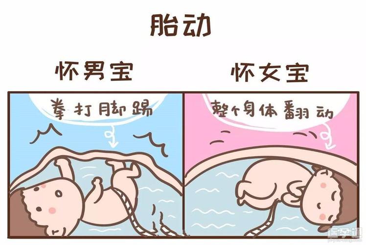 包生男孩包生男孩-包生男孩:一个特殊孩子的成长故事