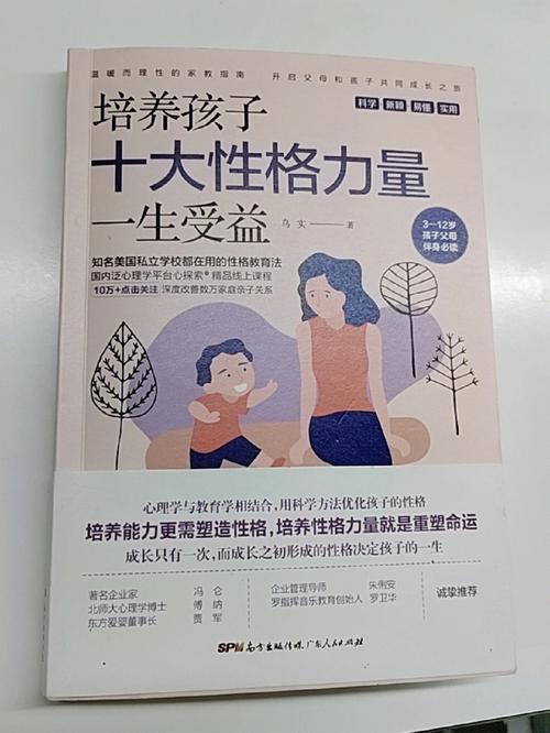 包生男孩指南【包生男孩指南:培养自信、独立和责任感】