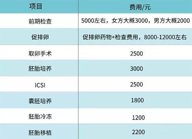 帮人试管代怀多少费用_试管代怀帮人多少钱?