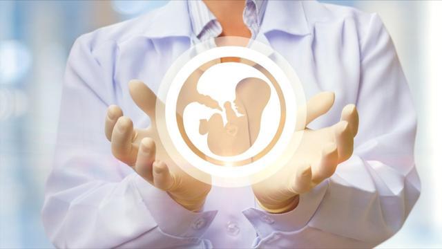 包成功试管代怀费用多少【成功试管代怀费用多少?全面解析试管婴儿代孕费用】